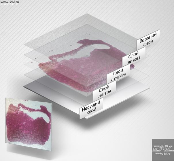 Развивающая плитка Сенсорный пол - это живая плитка с постоянно меняющимся рисунком изготалвиваемая компанией 3DVL liquid floor , внутри заполненные квадратные сосуды 